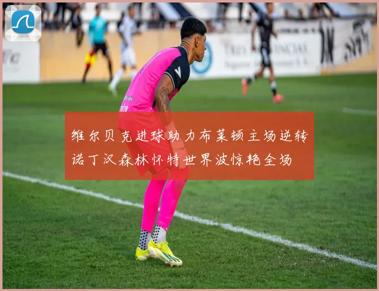 维尔贝克进球助力布莱顿主场逆转诺丁汉森林怀特世界波惊艳全场