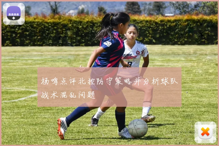 杨鸣点评北控防守策略并分析球队战术混乱问题