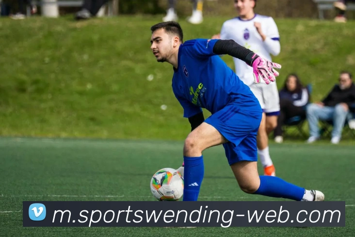 问鼎娱乐平台生态图